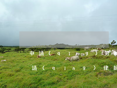 申請(qǐng)勞動(dòng)仲裁要請(qǐng)律師嗎？自己如何申請(qǐng)？